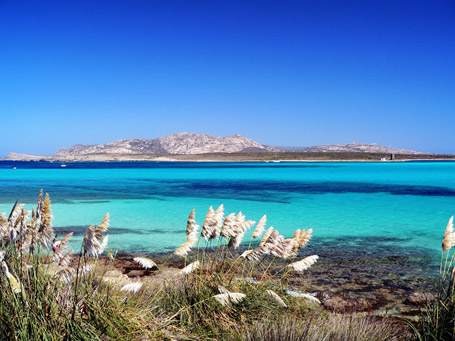 Sardegna